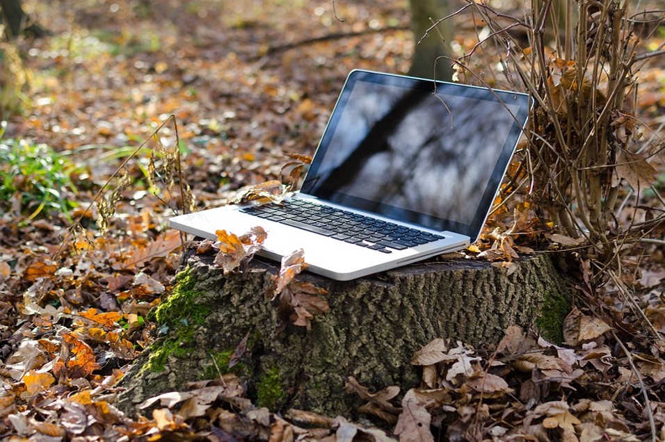 A sociedade da información no medio rural. Edición 2019