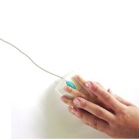 INTECO informa que máis do 90% dos internautas utilizan programas antivirus nos equipos informáticos dos fogares