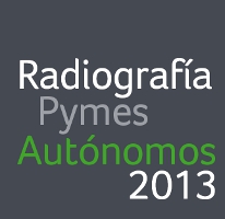 Radiografía do uso das TIC nas Pemes e Autónomos 2013