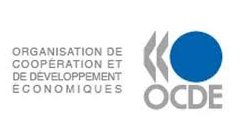 A OCDE publica un estudo estratéxico sobre as infraestruturas de telecomunicacións e a Administración electrónica