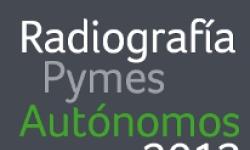 Radiografía do uso das TIC nas Pemes e Autónomos 2013