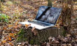 A contratación de Internet no rural crece máis dun 20% en catro anos